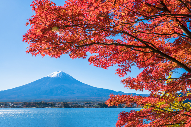 時候の挨拶10月下旬の挨拶やスピーチに使える言葉の例文や手紙 メールに使える文例 挨拶やスピーチに使える季語 時候の言葉の例文や手紙 メール 季節に使えるptaの文例