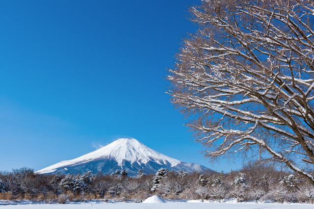 時候の挨拶1月下旬の挨拶やスピーチに使える言葉の例文や手紙 メールに使える文例 挨拶やスピーチに使える季語 時候 の言葉の例文や手紙 メール 季節に使えるptaの文例