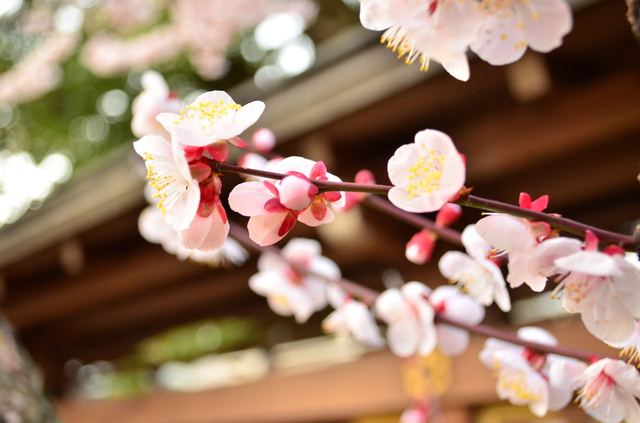 3 月 時候 の 挨拶