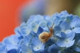 pixta_10960976_S